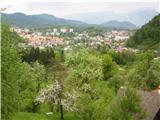 Pohod po Polhograjskem hribovju Šk.Loka  v  petih urah trideset minut